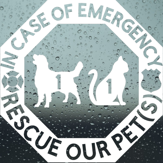 Decal: Emergency Rescue