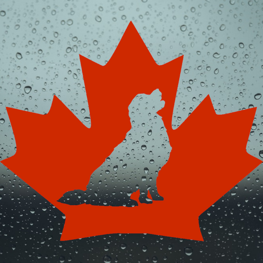 Decal: Maple Leaf Sitting