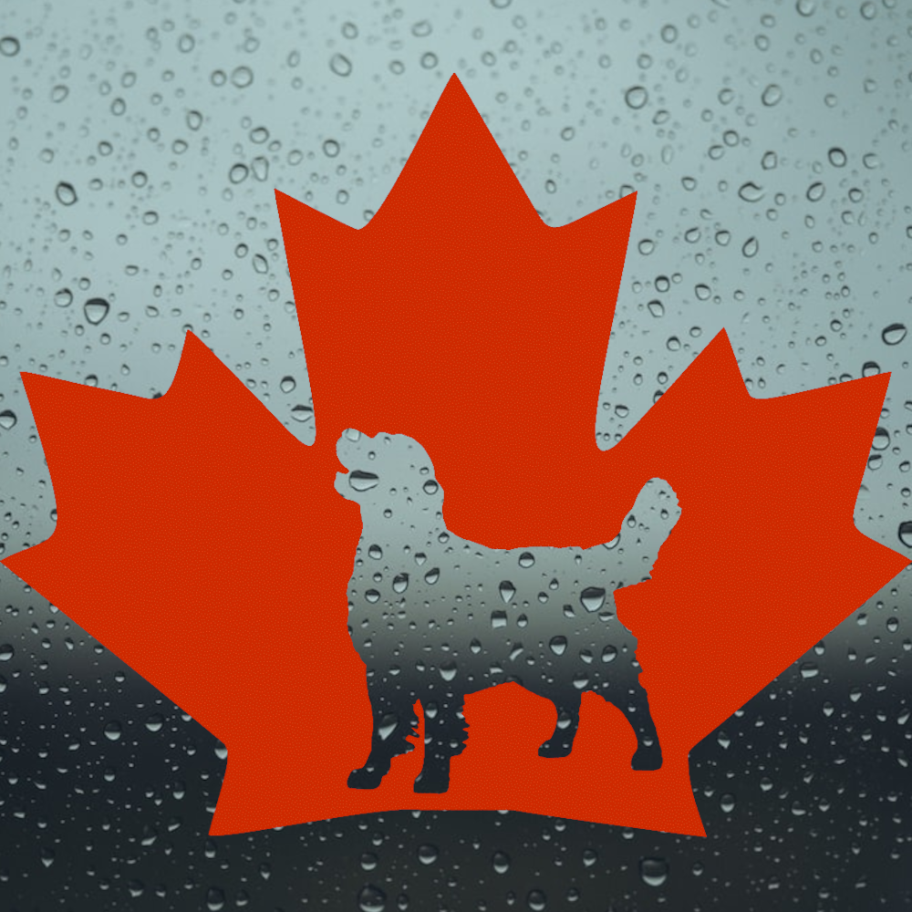 Decal: Maple Leaf Standing